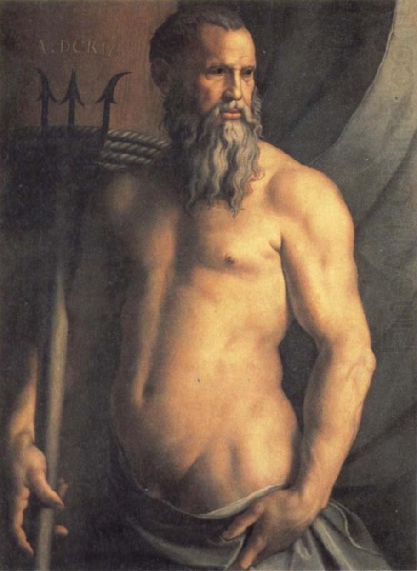 Agnolo Bronzino Portrait des Andrea Doria als Neptun china oil painting image